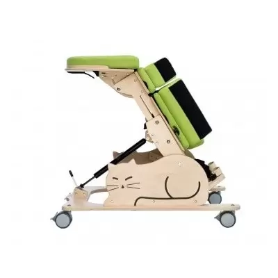 pionizator-kotek-i (1).webp