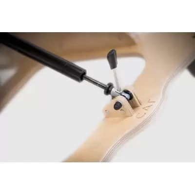 pionizator-kotek-i (3).webp