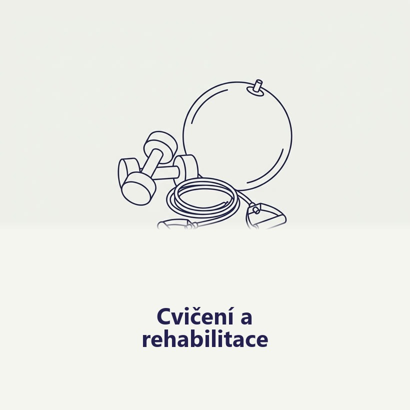 Cvičení Rehabilitace